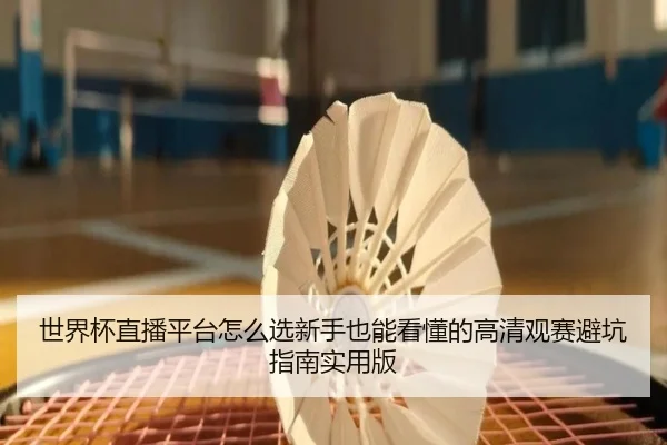 世界杯直播平台怎么选新手也能看懂的高清观赛避坑指南实用版